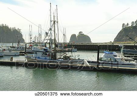 La Push, WA, Washington, Pacific Ocean, Olympic Peninsula, Quileute Indian Reservation View Large Photo Image Stock Photography - La Push, WA, Washington, Pacific Ocean, Olympic Peninsula, Quileute Indian Reservation. Fotosearch