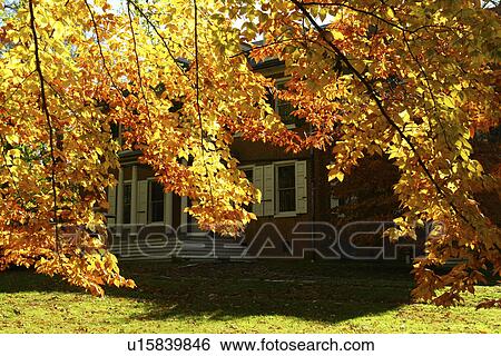 Lancaster, PA, Pennsylvania, Pennsylvania Dutch Country, Wheatland View Large Photo Image Stock Photograph - Lancaster, PA, Pennsylvania, Pennsylvania Dutch Country, Wheatland. Fotosearch