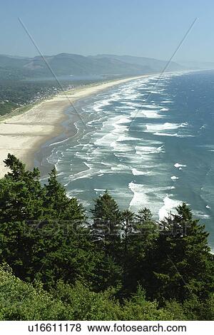 Manzanita, OR, Oregon, Pacific Ocean, Pacific Coast Scenic Byway, Rt Route, Highway 101, Neahkahnie Beach View Large Photo Image Stock Photo - Manzanita, OR, Oregon, Pacific Ocean, Pacific Coast Scenic Byway, Rt Route, Highway 101, Neahkahnie Beach. Fotosearch