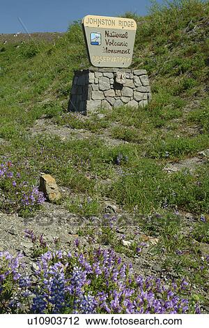 Stock Image -  Mount St. Helens National Volcanic Monument, WA, Washington, Johnston Ridge Observatory, entrance sign. Fotosearch