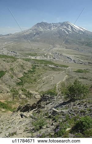 Stock Image -  Mount St. Helens National Volcanic Monument, WA, Washington, Johnston Ridge Observatory. Fotosearch