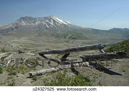 Stock Photography -  Mount St. Helens National Volcanic Monument, WA, Washington, . Fotosearch
