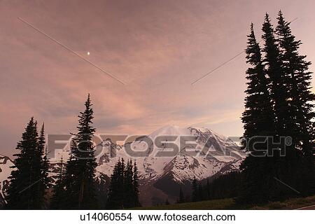 Mt. Rainier National Park, WA, Washington, Mount Rainier, Sunrise, sunset View Large Photo Image Picture - Mt. Rainier National Park, WA, Washington, Mount Rainier, Sunrise, sunset. Fotosearch