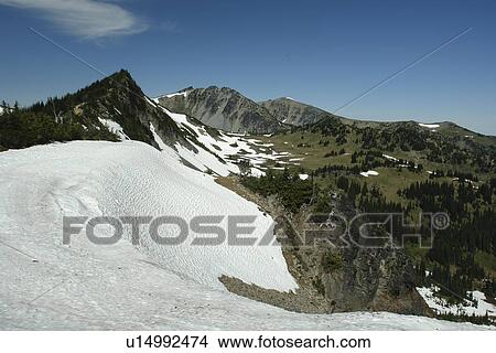 Mt. Rainier National Park, WA, Washington, Mount Rainier, hiking trail above Sunrise View Large Photo Image Picture - Mt. Rainier National Park, WA, Washington, Mount Rainier, hiking trail above Sunrise. Fotosearch