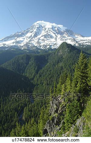 Mt. Rainier National Park, WA, Washington, Mount Rainier, Ricksecker Point View Large Photo Image Picture - Mt. Rainier National Park, WA, Washington, Mount Rainier, Ricksecker Point. Fotosearch