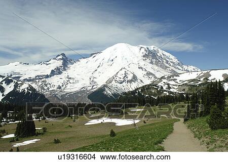 Mt. Rainier National Park, WA, Washington, Mount Rainier, hiking trail above Sunrise View Large Photo Image Picture - Mt. Rainier National Park, WA, Washington, Mount Rainier, hiking trail above Sunrise. Fotosearch