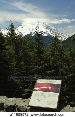 Stock Image -  Mt. Rainier National Park, WA, Washington, Mount Rainier, Sunrise, overlook. Fotosearch