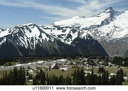 Mt. Rainier National Park, WA, Washington, Mount Rainier, hiking trail above Sunrise View Large Photo Image Stock Image - Mt. Rainier National Park, WA, Washington, Mount Rainier, hiking trail above Sunrise. Fotosearch