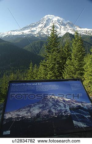 Stock Image -  Mt. Rainier National Park, WA, Washington, Mount Rainier, Ricksecker Point. Fotosearch