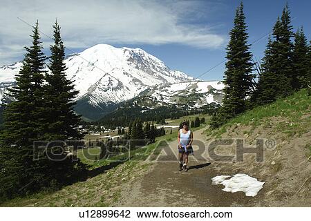 Mt. Rainier National Park, WA, Washington, Mount Rainier, hiking trail above Sunrise View Large Photo Image Stock Image - Mt. Rainier National Park, WA, Washington, Mount Rainier, hiking trail above Sunrise. Fotosearch