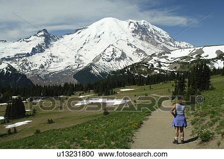 Mt. Rainier National Park, WA, Washington, Mount Rainier, hiking trail above Sunrise View Large Photo Image Stock Image - Mt. Rainier National Park, WA, Washington, Mount Rainier, hiking trail above Sunrise. Fotosearch