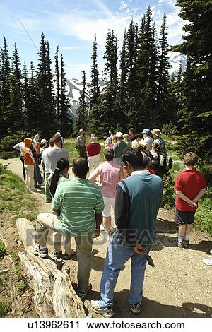 Mt. Rainier National Park, WA, Washington, Mount Rainier, Sunrise, Ranger Talk View Large Photo Image Stock Image - Mt. Rainier National Park, WA, Washington, Mount Rainier, Sunrise, Ranger Talk. Fotosearch