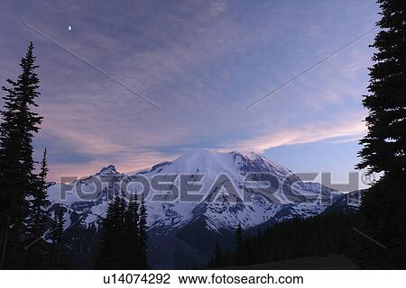 Mt. Rainier National Park, WA, Washington, Mount Rainier, Sunrise, sunset View Large Photo Image Stock Image - Mt. Rainier National Park, WA, Washington, Mount Rainier, Sunrise, sunset. Fotosearch