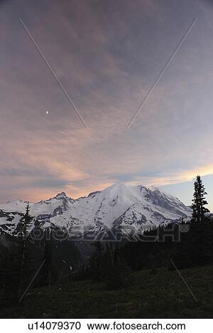 Mt. Rainier National Park, WA, Washington, Mount Rainier, Sunrise, sunset View Large Photo Image Stock Image - Mt. Rainier National Park, WA, Washington, Mount Rainier, Sunrise, sunset. Fotosearch