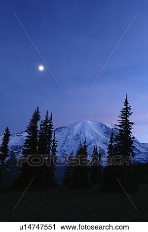 Stock Image -  Mt. Rainier National Park, WA, Washington, Mount Rainier, Sunrise, evening, moonrise. Fotosearch