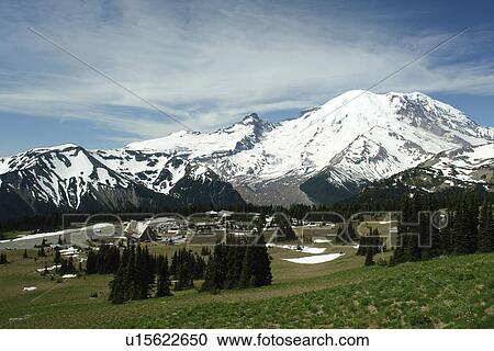 Mt. Rainier National Park, WA, Washington, Mount Rainier, hiking trail above Sunrise View Large Photo Image Stock Image - Mt. Rainier National Park, WA, Washington, Mount Rainier, hiking trail above Sunrise. Fotosearch