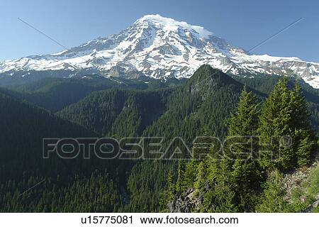 Stock Image -  Mt. Rainier National Park, WA, Washington, Mount Rainier, Ricksecker Point. Fotosearch