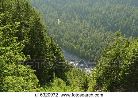 Mt. Rainier National Park, WA, Washington, Mount Rainier, Ricksecker Point View Large Photo Image Stock Image - Mt. Rainier National Park, WA, Washington, Mount Rainier, Ricksecker Point. Fotosearch