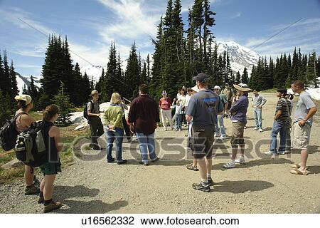 Mt. Rainier National Park, WA, Washington, Mount Rainier, Sunrise, Ranger Talk View Large Photo Image Stock Image - Mt. Rainier National Park, WA, Washington, Mount Rainier, Sunrise, Ranger Talk. Fotosearch