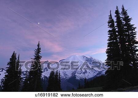 Mt. Rainier National Park, WA, Washington, Mount Rainier, Sunrise, sunset View Large Photo Image Stock Image - Mt. Rainier National Park, WA, Washington, Mount Rainier, Sunrise, sunset. Fotosearch