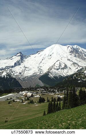 Stock Image -  Mt. Rainier National Park, WA, Washington, Mount Rainier, hiking trail above Sunrise. Fotosearch