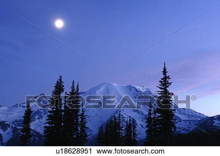 Mt. Rainier National Park, WA, Washington, Mount Rainier, Sunrise, evening, moonrise View Large Photo Image Stock Image - Mt. Rainier National Park, WA, Washington, Mount Rainier, Sunrise, evening, moonrise. Fotosearch