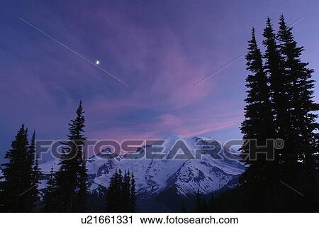 Mt. Rainier National Park, WA, Washington, Mount Rainier, Sunrise, sunset View Large Photo Image Stock Image - Mt. Rainier National Park, WA, Washington, Mount Rainier, Sunrise, sunset. Fotosearch