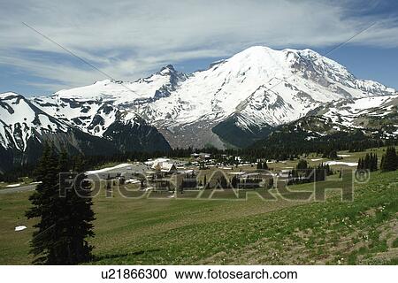 Stock Image -  Mt. Rainier National Park, WA, Washington, Mount Rainier, hiking trail above Sunrise. Fotosearch