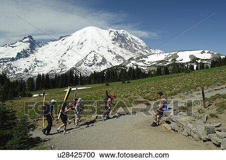 Mt. Rainier National Park, WA, Washington, Mount Rainier, hiking trail above Sunrise View Large Photo Image Stock Image - Mt. Rainier National Park, WA, Washington, Mount Rainier, hiking trail above Sunrise. Fotosearch