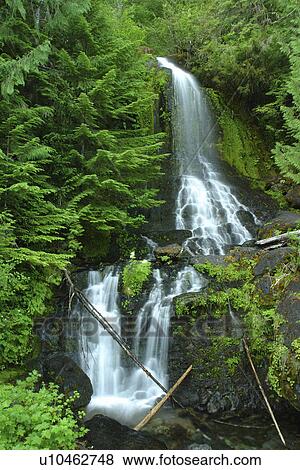 Stock Photo -  Mt. Rainier National Park, WA, Washington, Waterfalls, Stevens Canyon. Fotosearch