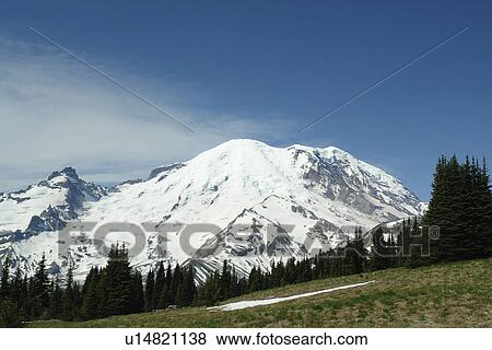 Mt. Rainier National Park, WA, Washington, Mount Rainier, Sunrise View Large Photo Image Stock Photo - Mt. Rainier National Park, WA, Washington, Mount Rainier, Sunrise. Fotosearch