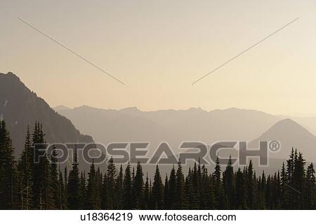 Mt. Rainier National Park, WA, Washington, Mount Rainier, Paradise, view from Henry M. Jackson Visitor Center View Large Photo Image Stock Photo - Mt. Rainier National Park, WA, Washington, Mount Rainier, Paradise, view from Henry M. Jackson Visitor Center. Fotosearch
