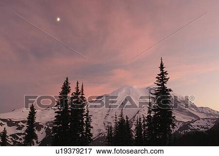 Mt. Rainier National Park, WA, Washington, Mount Rainier, Sunrise, sunset View Large Photo Image Stock Photo - Mt. Rainier National Park, WA, Washington, Mount Rainier, Sunrise, sunset. Fotosearch