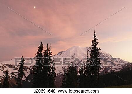 Stock Photo -  Mt. Rainier National Park, WA, Washington, Mount Rainier, Sunrise, sunset. Fotosearch