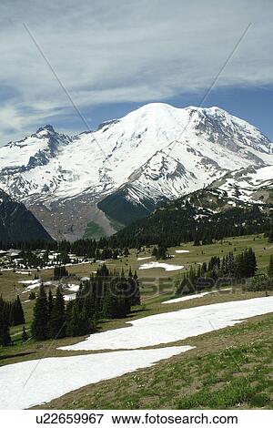 Stock Photo -  Mt. Rainier National Park, WA, Washington, Mount Rainier, hiking trail above Sunrise. Fotosearch