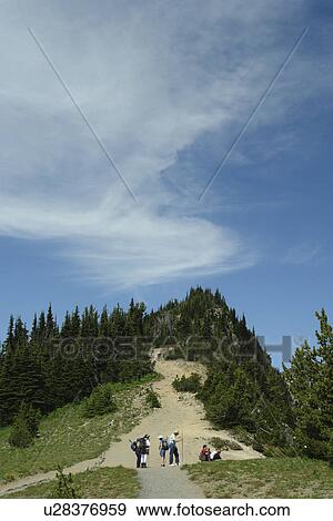 Stock Photo -  Mt. Rainier National Park, WA, Washington, Mount Rainier, hiking trail above Sunrise. Fotosearch