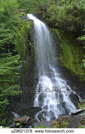 Stock Photo -  Mt. Rainier National Park, WA, Washington, Waterfalls, Stevens Canyon. Fotosearch