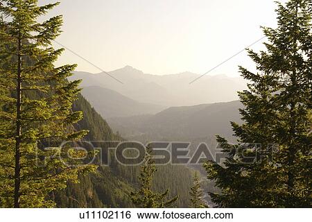 Mt. Rainier National Park, WA, Washington, Mount Rainier, Ricksecker Point View Large Photo Image Stock Photograph - Mt. Rainier National Park, WA, Washington, Mount Rainier, Ricksecker Point. Fotosearch