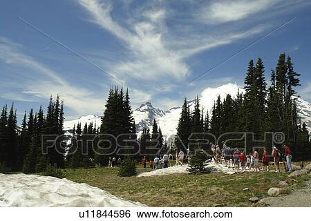 Mt. Rainier National Park, WA, Washington, Mount Rainier, Sunrise, Ranger Talk View Large Photo Image Stock Photograph - Mt. Rainier National Park, WA, Washington, Mount Rainier, Sunrise, Ranger Talk. Fotosearch