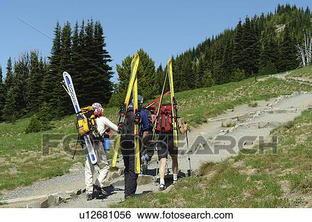 Mt. Rainier National Park, WA, Washington, Mount Rainier, hiking trail above Sunrise View Large Photo Image Stock Photograph - Mt. Rainier National Park, WA, Washington, Mount Rainier, hiking trail above Sunrise. Fotosearch