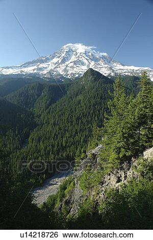Stock Photograph -  Mt. Rainier National Park, WA, Washington, Mount Rainier, Ricksecker Point. Fotosearch