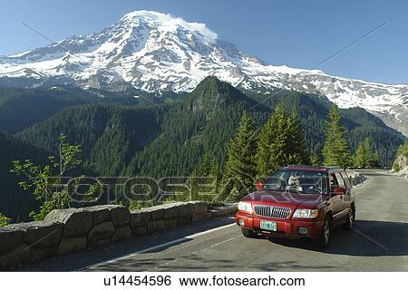 Stock Photograph -  Mt. Rainier National Park, WA, Washington, Mount Rainier, Ricksecker Point. Fotosearch