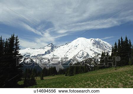 Mt. Rainier National Park, WA, Washington, Mount Rainier, hiking trail above Sunrise View Large Photo Image Stock Photograph - Mt. Rainier National Park, WA, Washington, Mount Rainier, hiking trail above Sunrise. Fotosearch