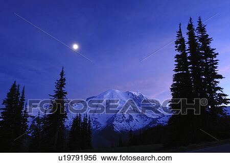 Mt. Rainier National Park, WA, Washington, Mount Rainier, Sunrise, evening, moonrise View Large Photo Image Stock Photograph - Mt. Rainier National Park, WA, Washington, Mount Rainier, Sunrise, evening, moonrise. Fotosearch