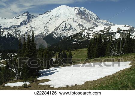 Stock Photograph -  Mt. Rainier National Park, WA, Washington, Mount Rainier, hiking trail above Sunrise. Fotosearch