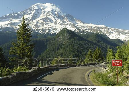 Mt. Rainier National Park, WA, Washington, Mount Rainier, Ricksecker Point View Large Photo Image Stock Photograph - Mt. Rainier National Park, WA, Washington, Mount Rainier, Ricksecker Point. Fotosearch