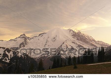 Mt. Rainier National Park, WA, Washington, Mount Rainier, Sunrise, sunset View Large Photo Image Stock Photography - Mt. Rainier National Park, WA, Washington, Mount Rainier, Sunrise, sunset. Fotosearch