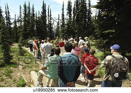 Mt. Rainier National Park, WA, Washington, Mount Rainier, Sunrise, Ranger Talk View Large Photo Image Stock Photography - Mt. Rainier National Park, WA, Washington, Mount Rainier, Sunrise, Ranger Talk. Fotosearch