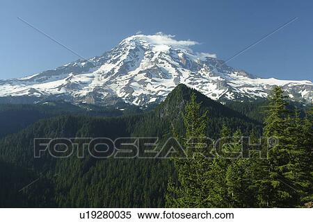 Mt. Rainier National Park, WA, Washington, Mount Rainier, Ricksecker Point View Large Photo Image Stock Photography - Mt. Rainier National Park, WA, Washington, Mount Rainier, Ricksecker Point. Fotosearch