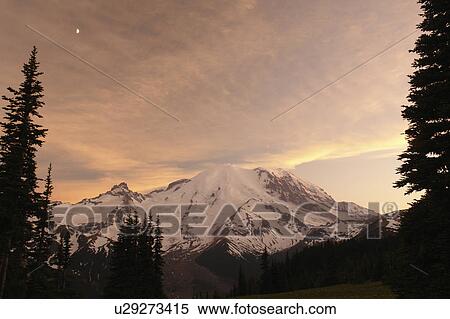 Mt. Rainier National Park, WA, Washington, Mount Rainier, Sunrise, sunset View Large Photo Image Stock Photography - Mt. Rainier National Park, WA, Washington, Mount Rainier, Sunrise, sunset. Fotosearch